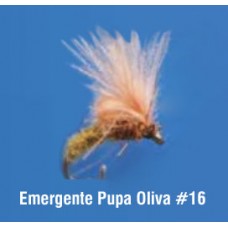 Emergente Pupa Oliva